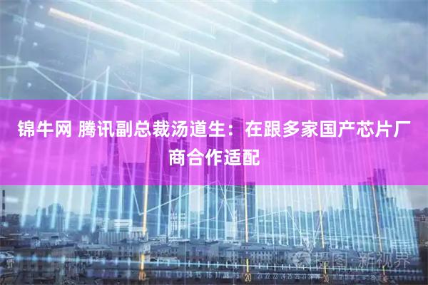 锦牛网 腾讯副总裁汤道生：在跟多家国产芯片厂商合作适配