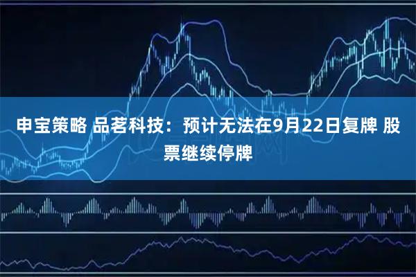 申宝策略 品茗科技：预计无法在9月22日复牌 股票继续停牌