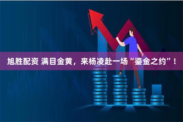 旭胜配资 满目金黄，来杨凌赴一场“鎏金之约”！
