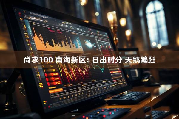 尚求100 南海新区: 日出时分 天鹅蹁跹