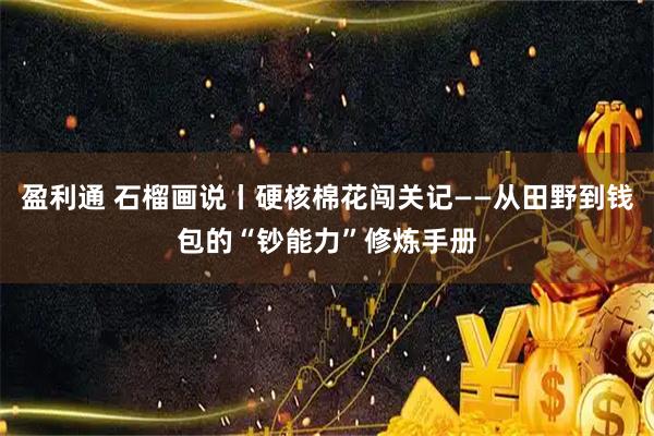 盈利通 石榴画说丨硬核棉花闯关记——从田野到钱包的“钞能力”修炼手册