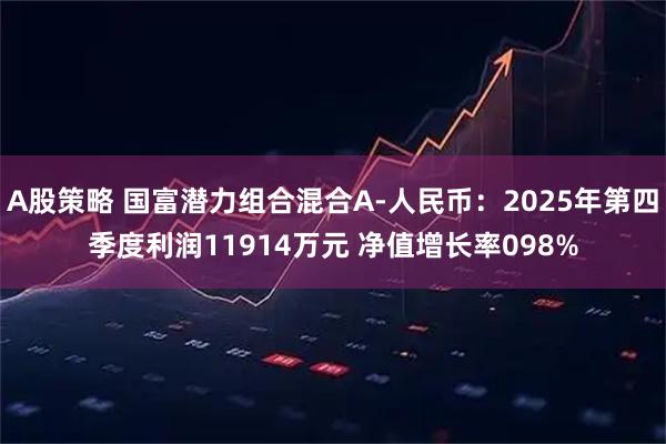 A股策略 国富潜力组合混合A-人民币：2025年第四季度利润11914万元 净值增长率098%